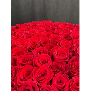 Купить розу Эксплорер метровая с доставкой в Владивостоке
