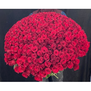 Купить охапку из 351 роз с доставкой в Владивостоке