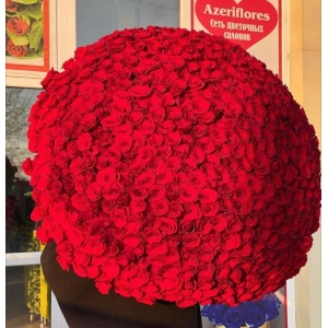Купить охапку из 501 красной розы с доставкой в Владивостоке