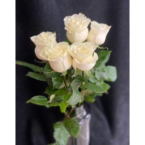 Купить белую розу с доставкой в Владивостоке