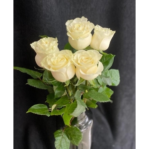 Купить белую розу с доставкой в Владивостоке