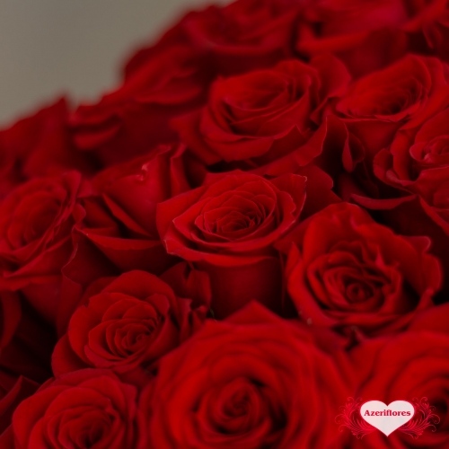 Купить букет из 25 красных роз в Владивостоке