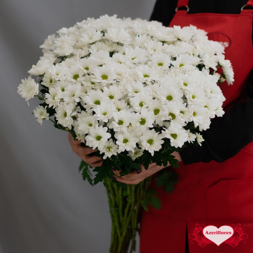 Купить хризантему «Ромашки» белую с доставкой в Владивостоке